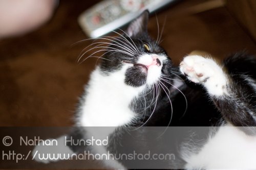 Misha_2008-08-06_IMG_1019